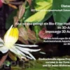 Aha; so also gelingt ein Bio-Filter Hydrokultur im 3D-Aquarium. Imposante 3D Aquaristik