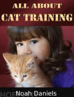 All About Cat Training