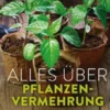 Alles über Pflanzenvermehrung