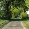 Asphalt. Brunsmark. Dom.