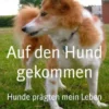 Auf den Hund gekommen