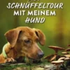 Auf Schnüffeltour mit meinem Hund