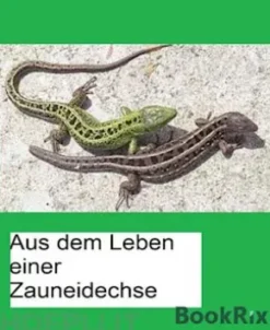 Aus dem Leben einer Zauneidechse