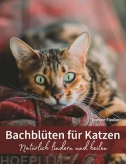 Bachblüten für Katzen
