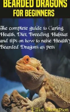 Bearded Dragons for Beginners