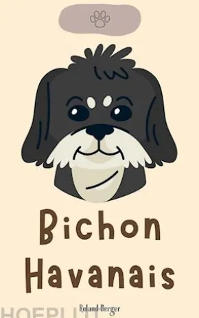 Bichon Havanais