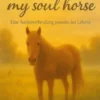 Bidi my soul Horse
