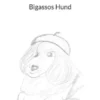 Bigassos Hund