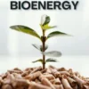 Biomass and Bioenergy