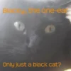 Blacky, the one-ear