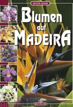 Blumen auf Madeira