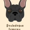 Bouledogue Français (Bulldog Francese)