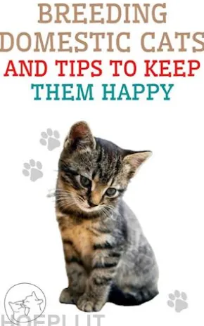 Breeding Domestic Cats and Tips to Keep Them Happy