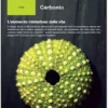 Carbonio