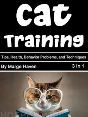 Cat Training