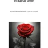 Éclats d'âme