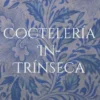 Coctelería In-Trínseca