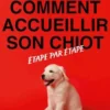 Comment accueillir son chiot étape par étape