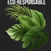 Conception web éco-responsable