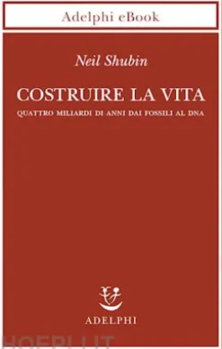 Costruire la vita