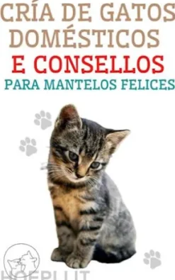 Cría de Gatos Domésticos e Consellos Para Mantelos Felices