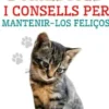 Cria de gats domèstics i consells per mantenir-los feliços