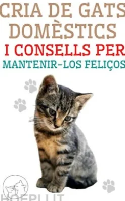 Cria de gats domèstics i consells per mantenir-los feliços