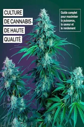 Culture de Cannabis 2026 : Le Guide Complet Indoor et Outdoor — De la Graine à la Récolte pour Maximiser le THC, le CBD et le Rendement
