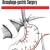 Current and Future Developments in Surgery: Volume 2: Oesophago-gastric Surgery