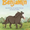 Das kleine Pony Benjamin