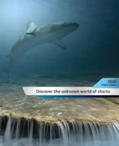 Discover the unknown world of sharks!