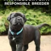 Dog Breeding
