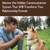 Dog Language Decoded