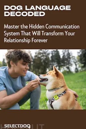 Dog Language Decoded