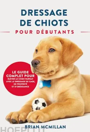 Dressage De Chiots Pour Débutants