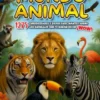 El Asombroso Mundo Animal