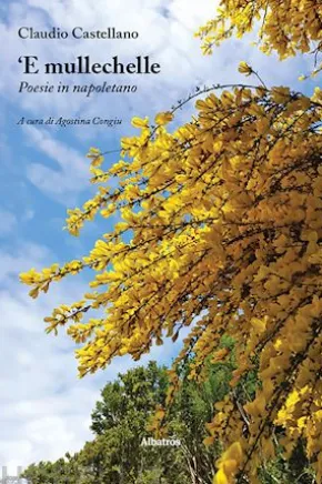 ‘E mullechelle. Poesie in napoletano