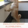 Endlich entspannt Alleinbleiben...