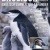 Englisch Für Kinder - Englisch Lernen Für Anfänger