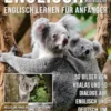 Englisch Für Kinder - Englisch Lernen Für Anfänger