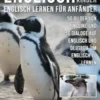 Englisch Für Kinder - Englisch Lernen Für Anfänger