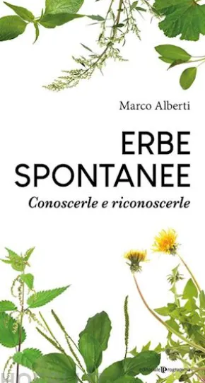Erbe spontanee