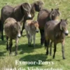 Exmoor-Ponys und die Viehwerdung des Pferdes