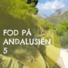 Fod på Andalusien 5