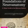 Foundations of Neuroanatomy: A Visual Guide to the Nervous System