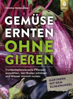 Gemüse ernten ohne gießen