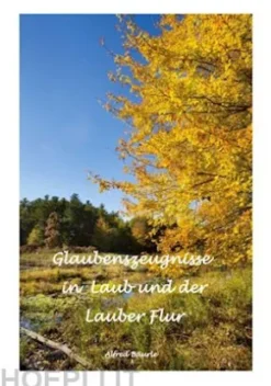 Glaubenszeugnisse in Laub und der Lauber Flur
