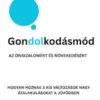 Gondolkodásmód az Önbizalomért és Növekedésért: Hogyan Hoznak a Kis Változások Nagy Átalakulásokat a Jövodben