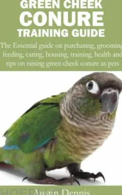 Green Cheek Conure Training Guide
