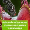 Guía Práctica para el Cultivo de Plantas Carnívoras